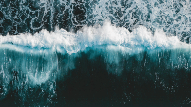 Cover Photo