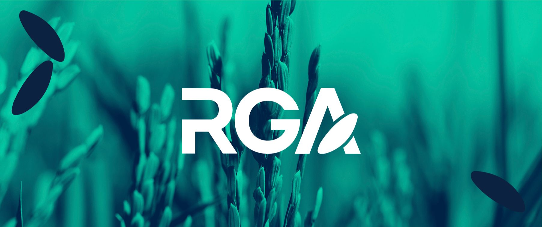 application banner